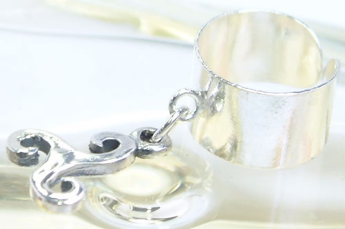 �C���[�J�t�F�X�p�C�����`���[���C���[�J�t