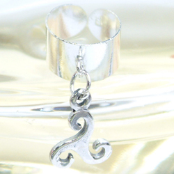 �X�p�C�����`���[���C���[�J�t