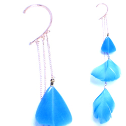 �u���[�o�[�h�C���[�t�b�N