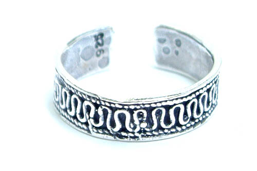 �V���o�[�����O�F�V���C�j���O�g�D�����O