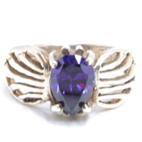 �V���o�[�����O�F���[�[�b�g�W���G�� �V���o�[�����O(�p�[�v��)