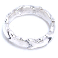 �t�B�b�V�� �X�N���[�������O