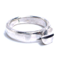 �r�X �V���o�[�����O