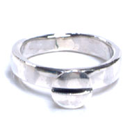 �V���o�[�����O�F�r�X �V���o�[�����O