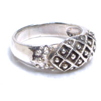 �p�x �V���o�[�����O