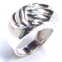 �V���o�[�����O�F�V�G�� �V���o�[�����O