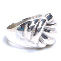 �V�G�� �V���o�[�����O