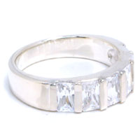 �V�b�N�X�W���G�� �V���o�[�����O(�N���A)