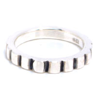 �V���o�[�����O�F���C���J�b�g �V���o�[�����O