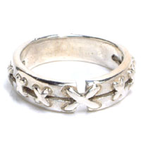 �V���o�[�����O�F���[�X�A�b�v �V���o�[�����O