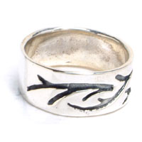 �C�o���g���C�o�� �V���o�[�����O