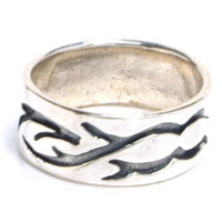 �V���o�[�����O�F�C�o���g���C�o�� �V���o�[�����O