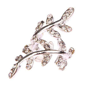 �N���X�^�����[�t�C���[�J�t