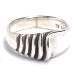 �V���o�[�����O�F�X�e�b�v �V���o�[�����O