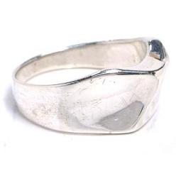 �f�B�X�g���b�g �V���o�[�����O