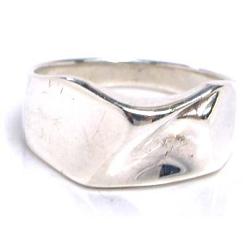 �V���o�[�����O�F�f�B�X�g���b�g �V���o�[�����O