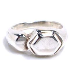 �V���o�[�����O�F�X�e�b�v�_�C�� �V���o�[�����O