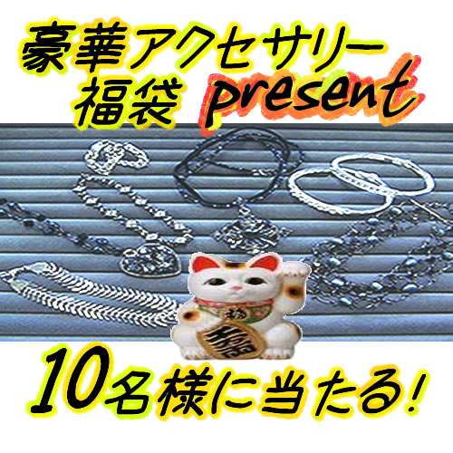 ◆豪華アクセサリー福袋◆