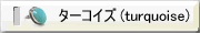 �^�[�R�C�Y